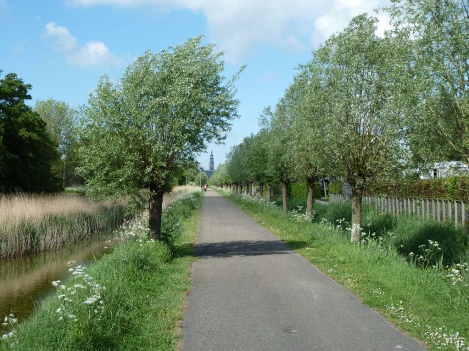 Smokkelen in het park