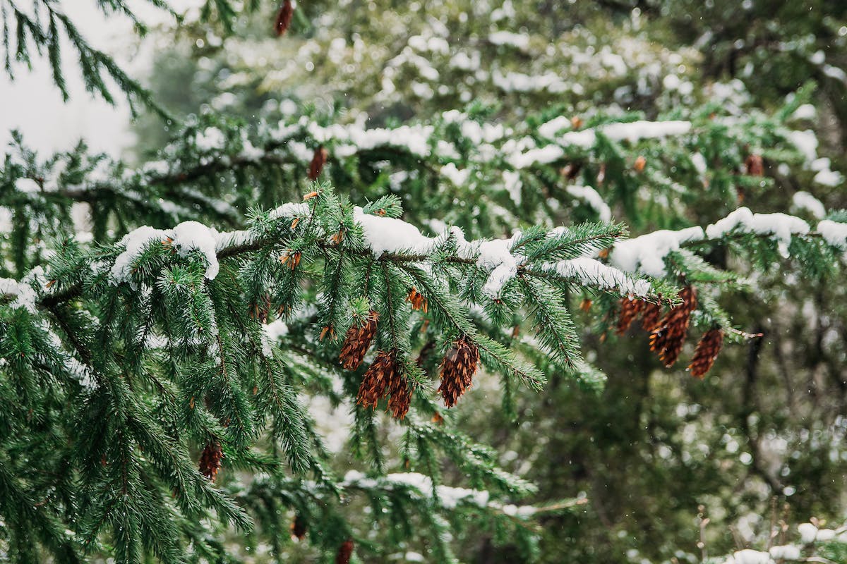 Leuke activiteiten tijdens de “winterstop”